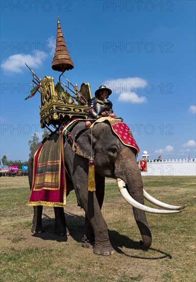 War elephant with soldier