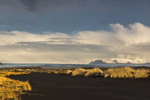 Black lava sand with tufts of grass in front of the glacial tongue