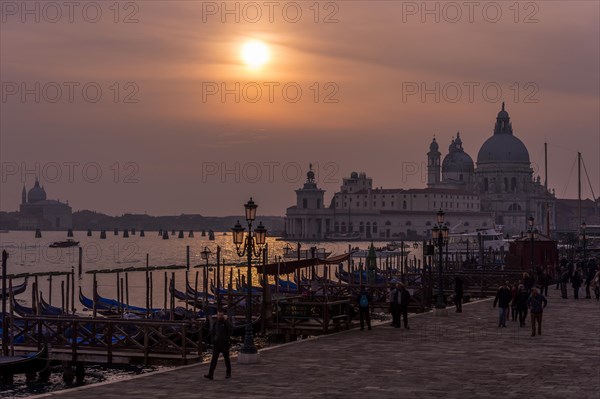 Santa Maria della Salute at sunset