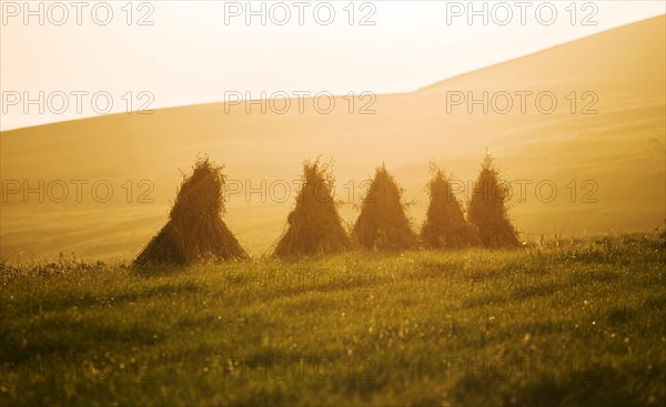 Row of stacked hay at sunset