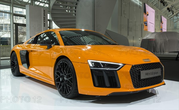 Audi R8 V10 Coupe plus