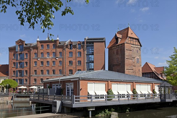 Abtsmuhle mill with Abtswasserkunst waterworks