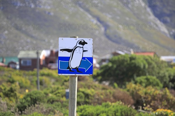 Signpost with penguin