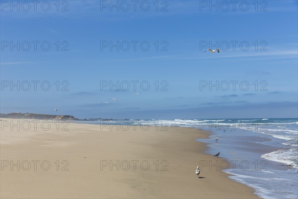 Sandy beach off Highway 1 or California State Route 1 at San Gregorio