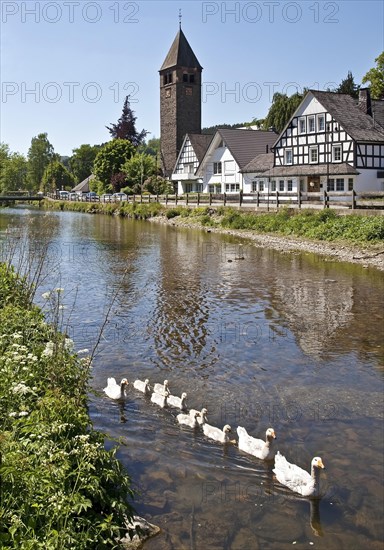 River Lenne in the district Saalhausen