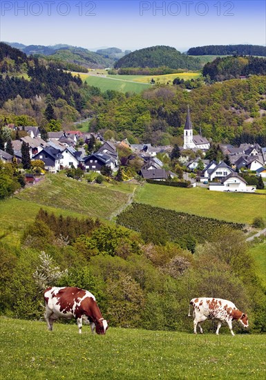 View of Dudinghausen district