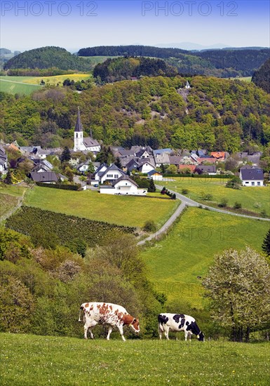 View of Dudinghausen district