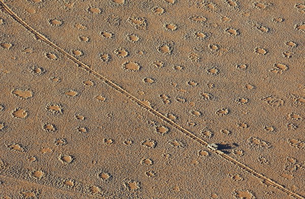 A vehicle of the balloon ground crew crosses a sandy plain with so-called Fairy Circles at the edge of the Namib Desert