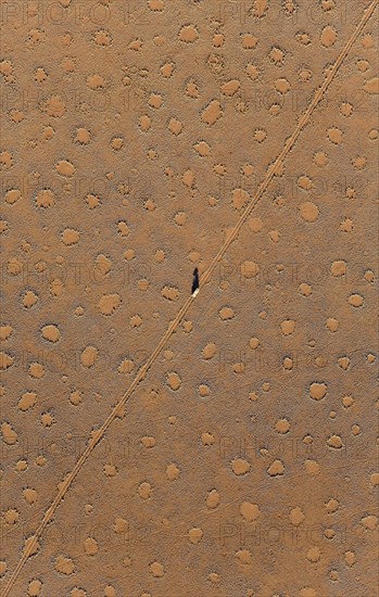 A vehicle of the balloon ground crew crosses a sandy plain with so-called Fairy Circles at the edge of the Namib Desert