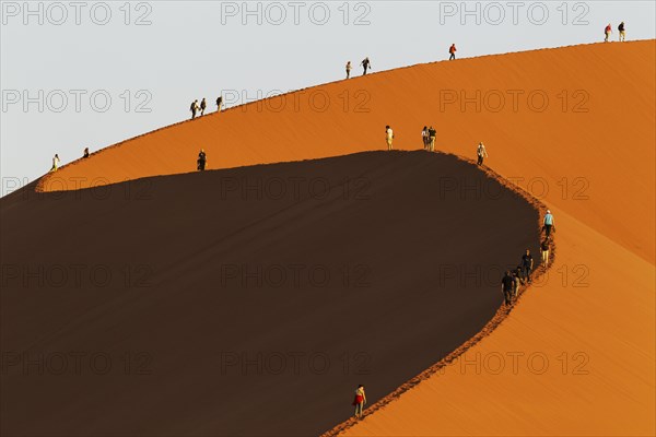 Tourists climbing Dune 45 in the Namib Desert