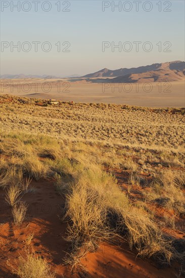 Evening landscape with bushman grass