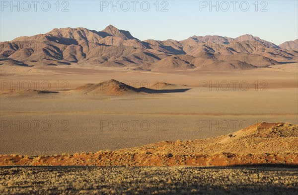 Sand dunes covered with bushman grass