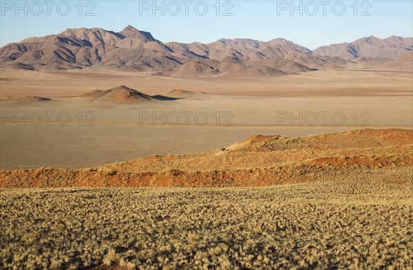 Sand dunes covered with bushman grass