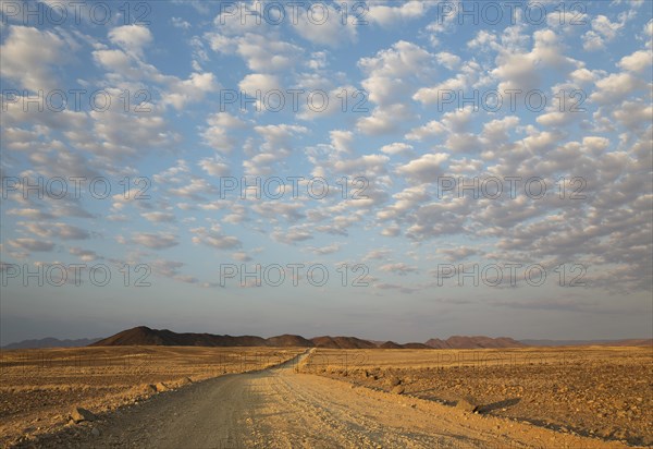 Gravel road on arid plain