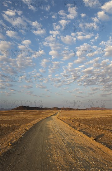 Gravel road on arid plain