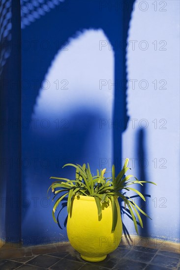 Architectural detail in Majorelle Garden