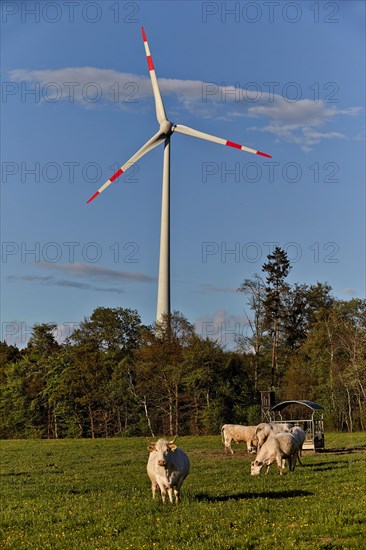 Wind turbinet in Hunsruck