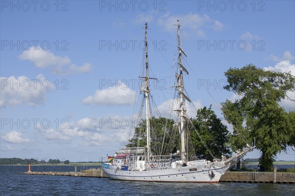 Sailboat Greif in Wieck harbor