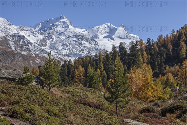 Findelntal in autumn with snowy Rimpfischhorn and Strahlhorn