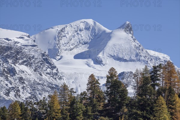 Findelntal in autumn with snowy Strahlhorn and Adlerhorn