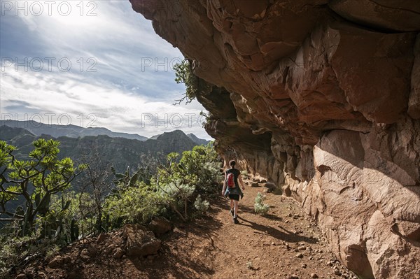 Hiking in the Anaga Mountains