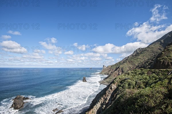 Coast in the Anaga Mountains in Benijo. Tenerife