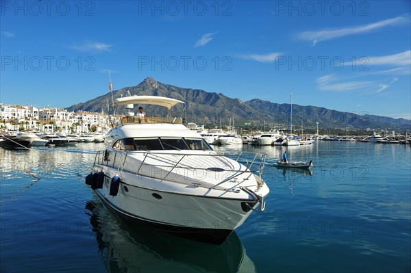 Harbor