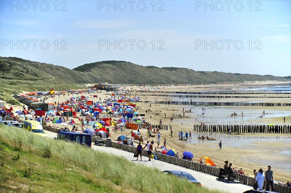 Beach at Zoutelande