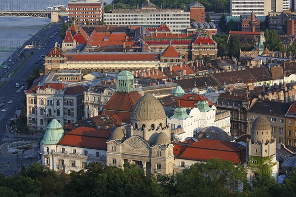 Historic centre on the Danube in evening light