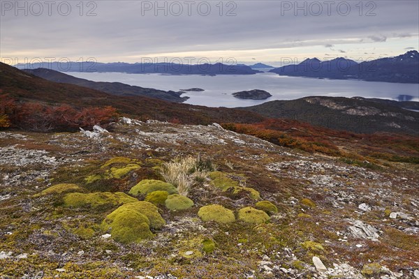 Canal Beagle Onashaga