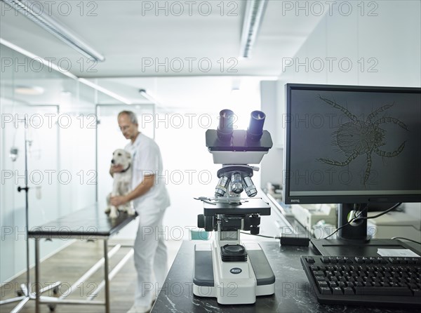 Microscope in veterinary practice