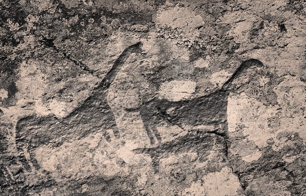 Himmelstalund rock engravings