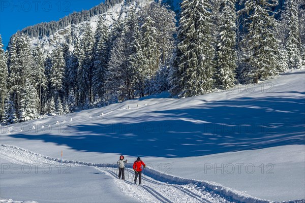 Cross-country skiers in Stillachtal