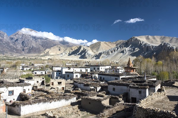 Traditional houses and Buddhist stupa in the village of Tsarang in front of mountain landscape