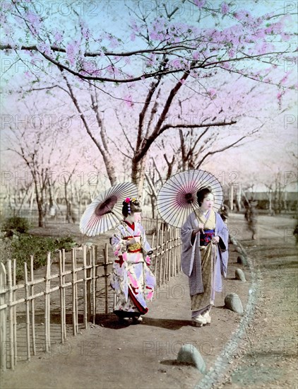 Two geishas