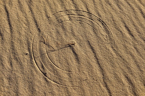 Circular texture of moving grass on a sanddune