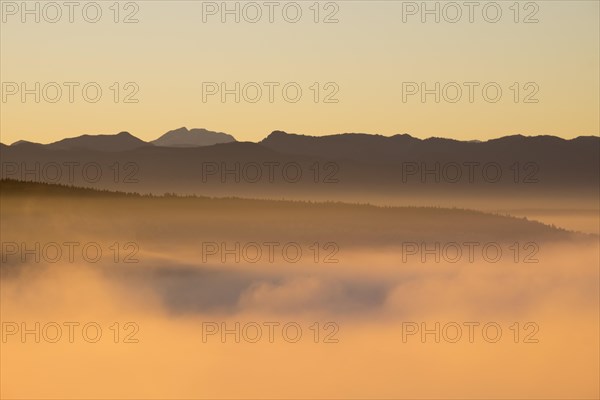 Morning fog at sunrise over the Pupplinger Au