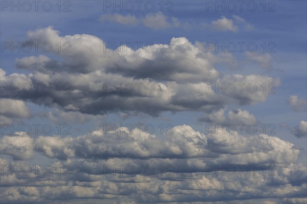 Staggered cumulus clouds