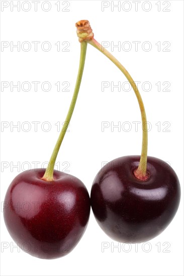 Sweet cherry