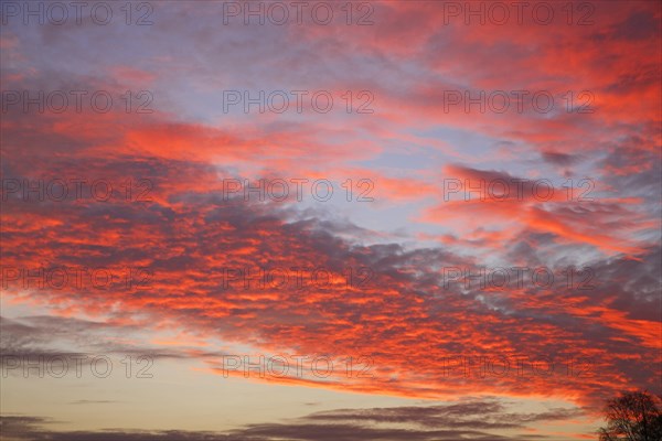 Dramatic red sky at sunset