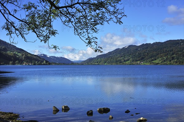 Alpsee lake