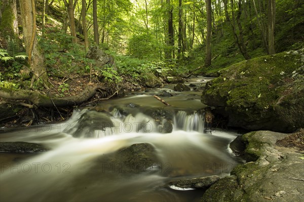 Kajabach stream