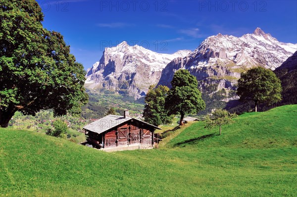 Alpine hut above Grindelwald