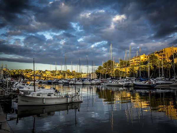 Harbour at sunset