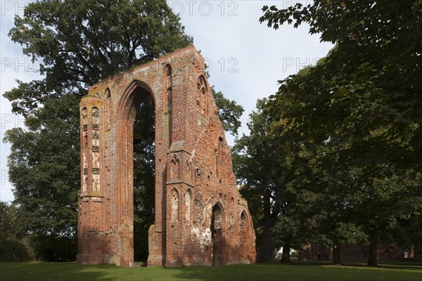 Ruins of the Eldena Monastery