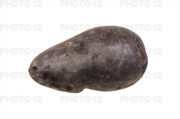 Potato