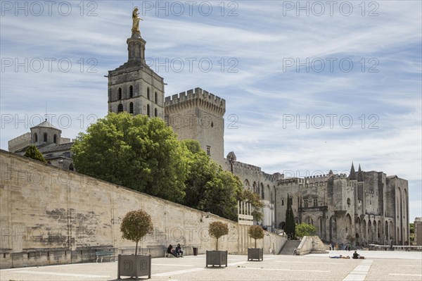 The historic papal palace