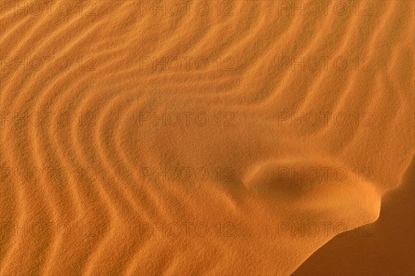 Sand ripples