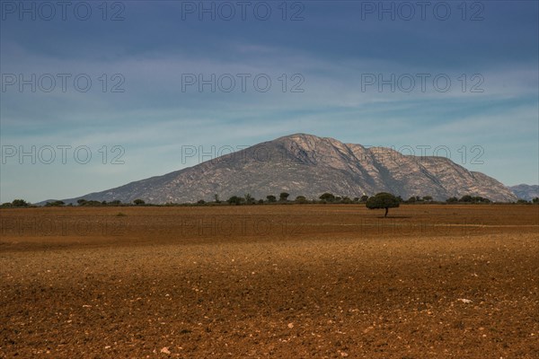 Little Karoo