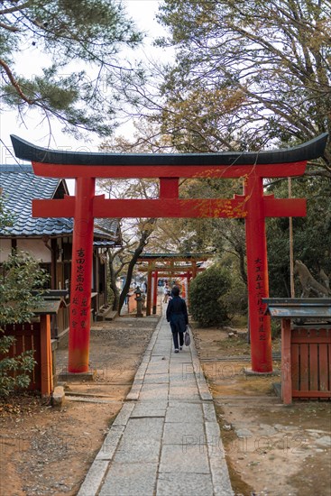 Japanese runs between Torii gates